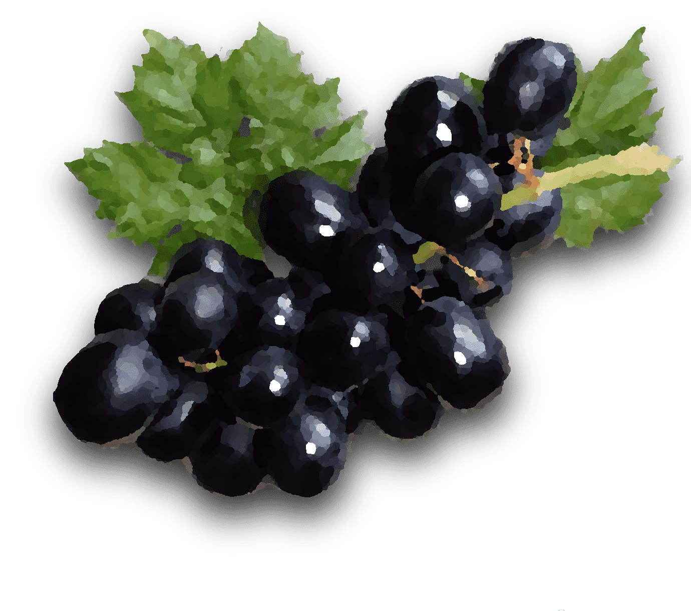 Racimo de uvas